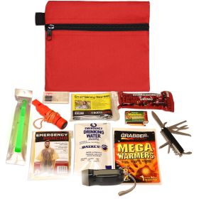 Mini Emergency Kit